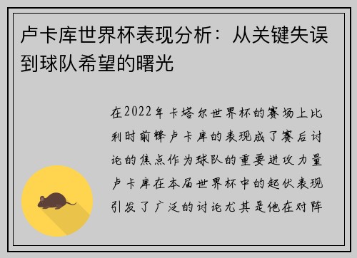 卢卡库世界杯表现分析:从关键失误到球队希望的曙光